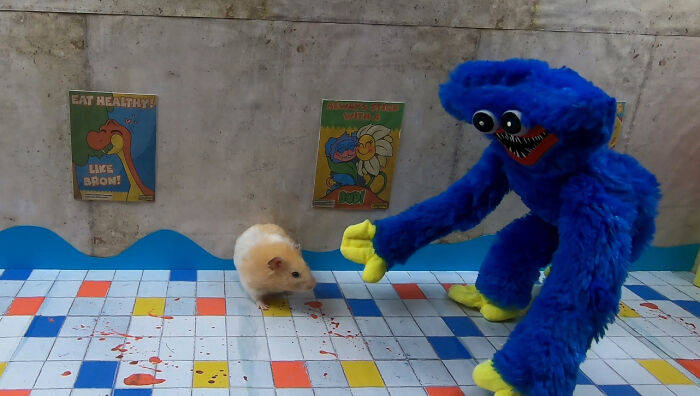 My Hamster Escapes From Hostile Huggy Wuggy In The Awesome Poppy Playtime Maze That I Made (12 Pics)