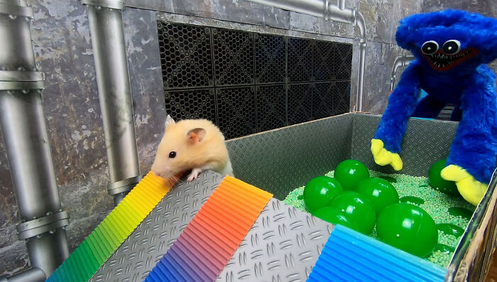 My Hamster Escapes From Hostile Huggy Wuggy In The Awesome Poppy Playtime Maze That I Made (12 Pics)