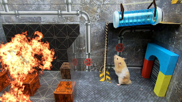 My Hamster Escapes From Hostile Huggy Wuggy In The Awesome Poppy Playtime Maze That I Made (12 Pics)