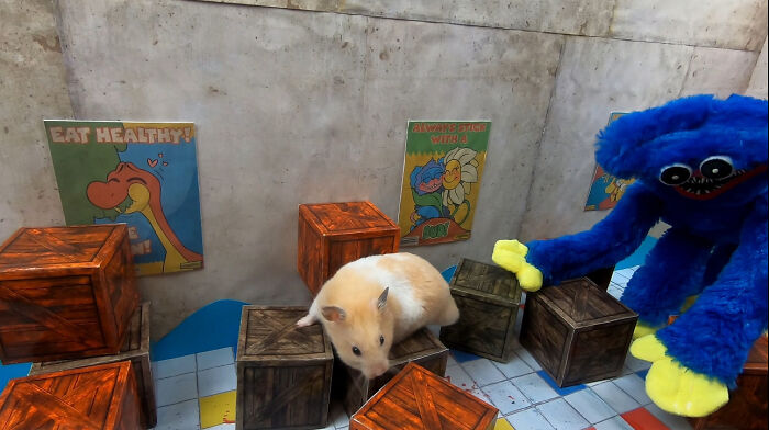 My Hamster Escapes From Hostile Huggy Wuggy In The Awesome Poppy Playtime Maze That I Made (12 Pics)