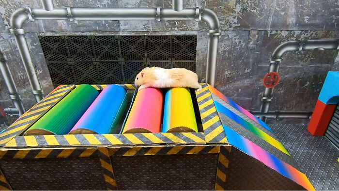 My Hamster Escapes From Hostile Huggy Wuggy In The Awesome Poppy Playtime Maze That I Made (12 Pics)