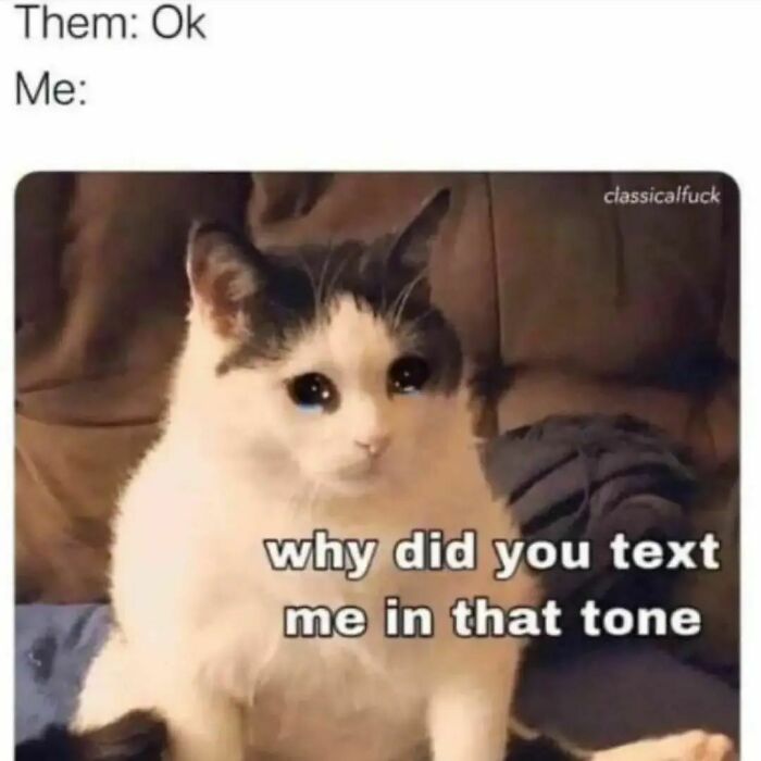 Introvert-Feels-Memes