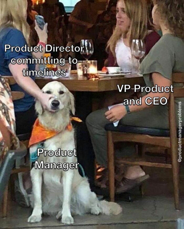 Product-Manager-Problems