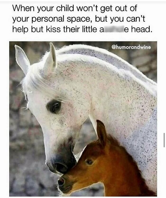 Spicy-Disaster-Mama-Parenthood-Memes