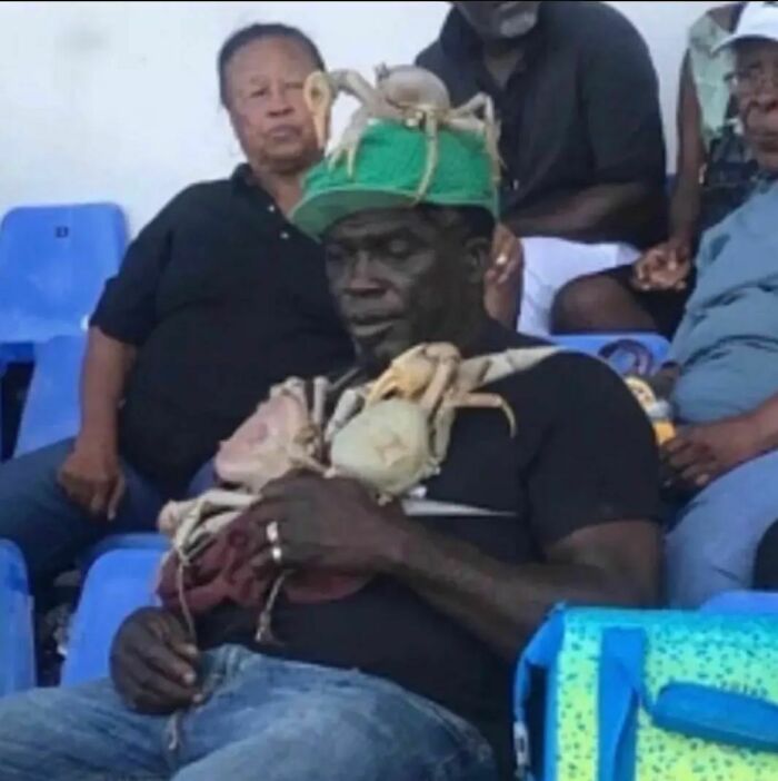 Animals-Places-They-Shouldnt-Be-Pics