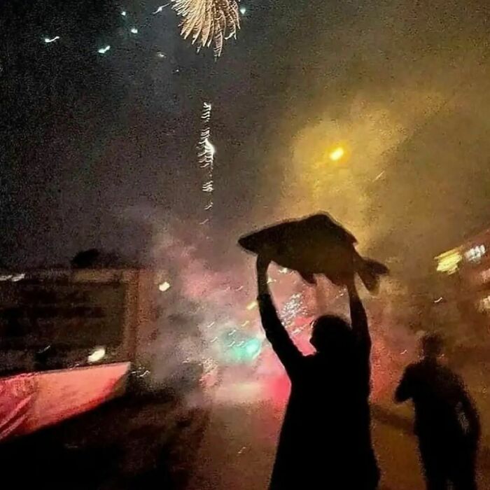 Animals-Places-They-Shouldnt-Be-Pics