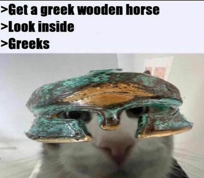 Funny-Educational-Memes