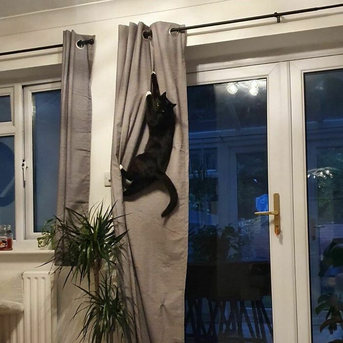 What? I Do What I Want Round Here