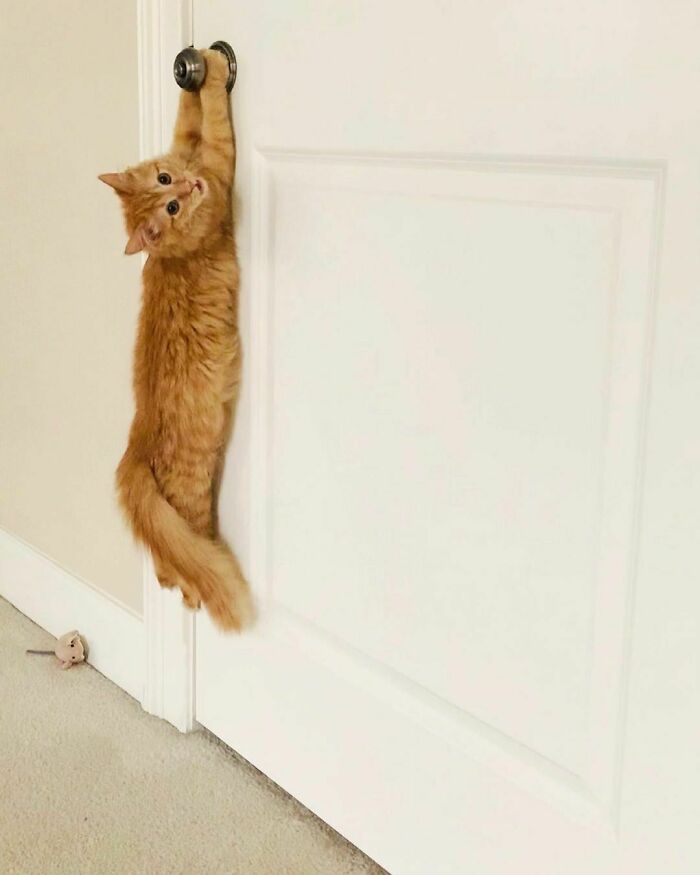 Am I Doing This Right?