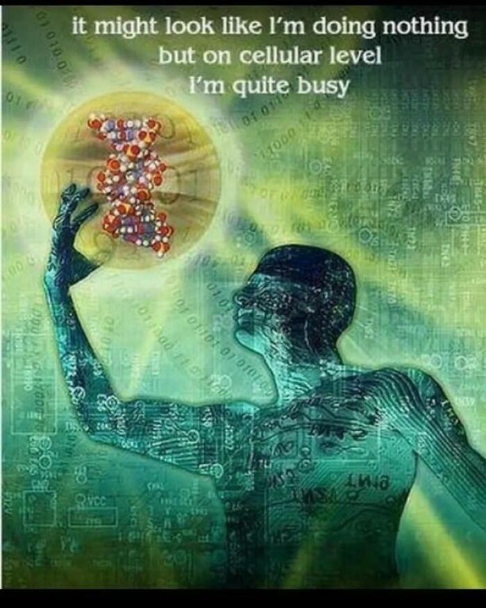 Funny-Educational-Memes