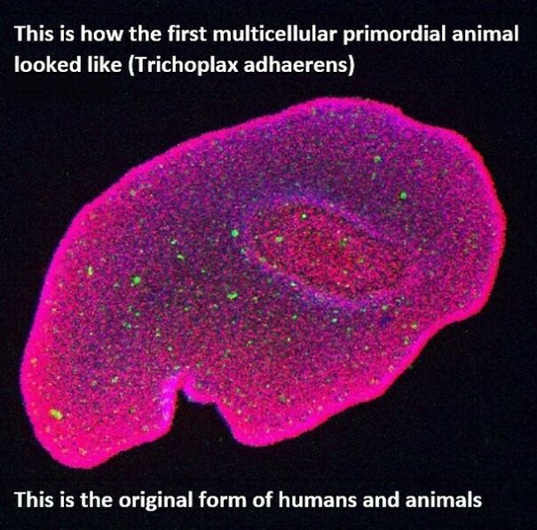 Funny-Educational-Memes Funny-Educational-Memes