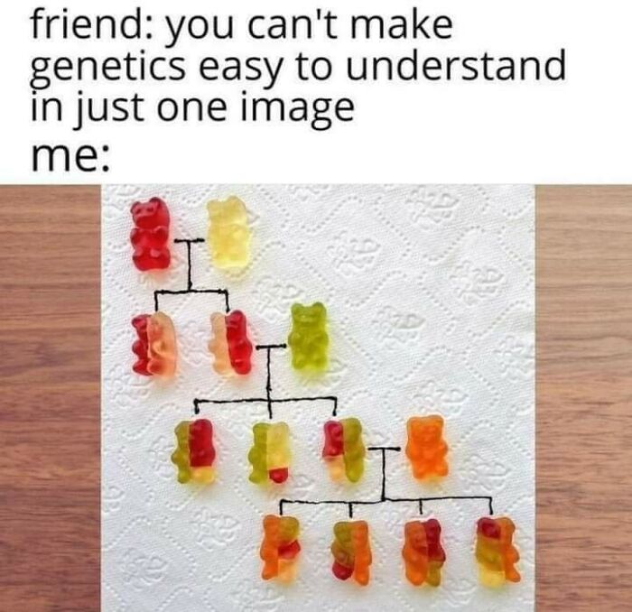 Funny-Educational-Memes