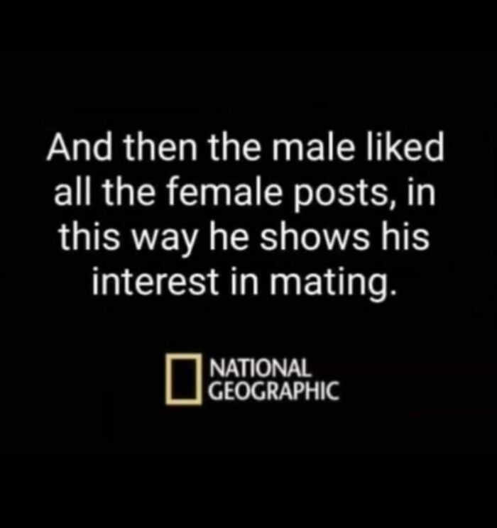 Funny-Educational-Memes