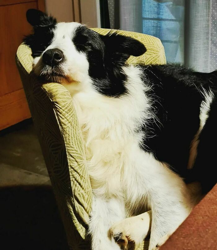 I'm Not Lazy, I'm Just Dynamic