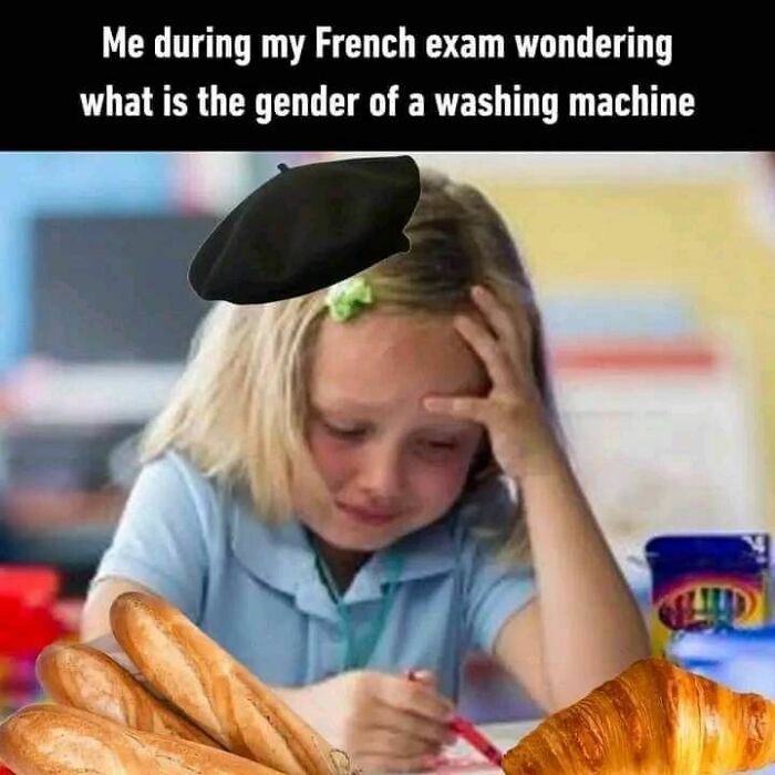 Funny-Educational-Memes