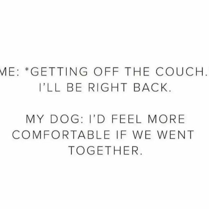 Relatable-Hilarious-Memes