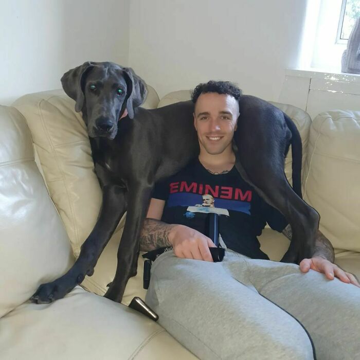 I've Decided To Become A Scarf