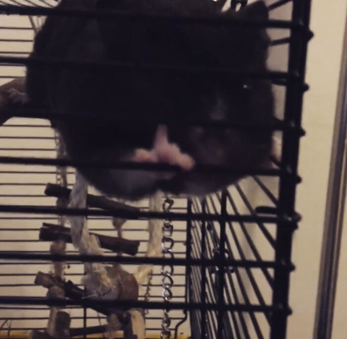 The Disrespect I Get In This House…