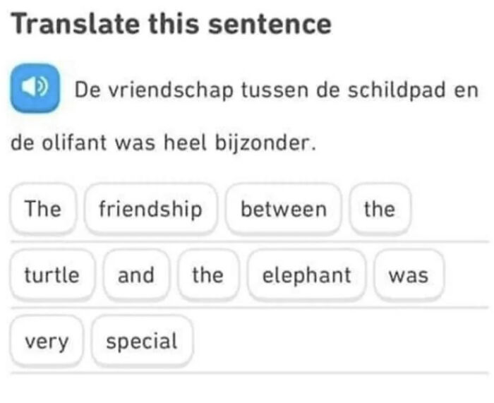 I Have No Doubts About This One