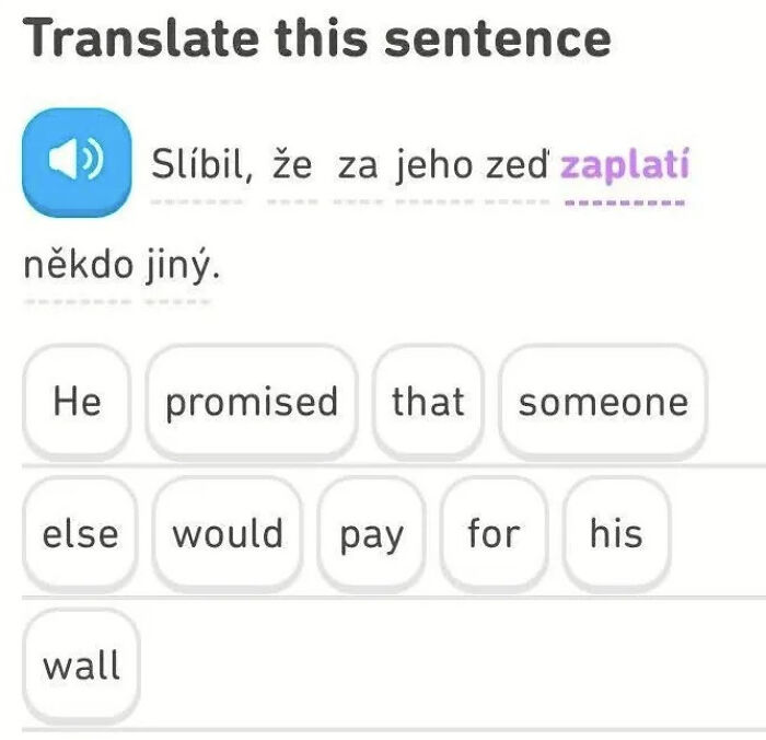 Duolingo Has Decided To Remind Us About Politics That Many Many Of Us Would Prefer To Forget