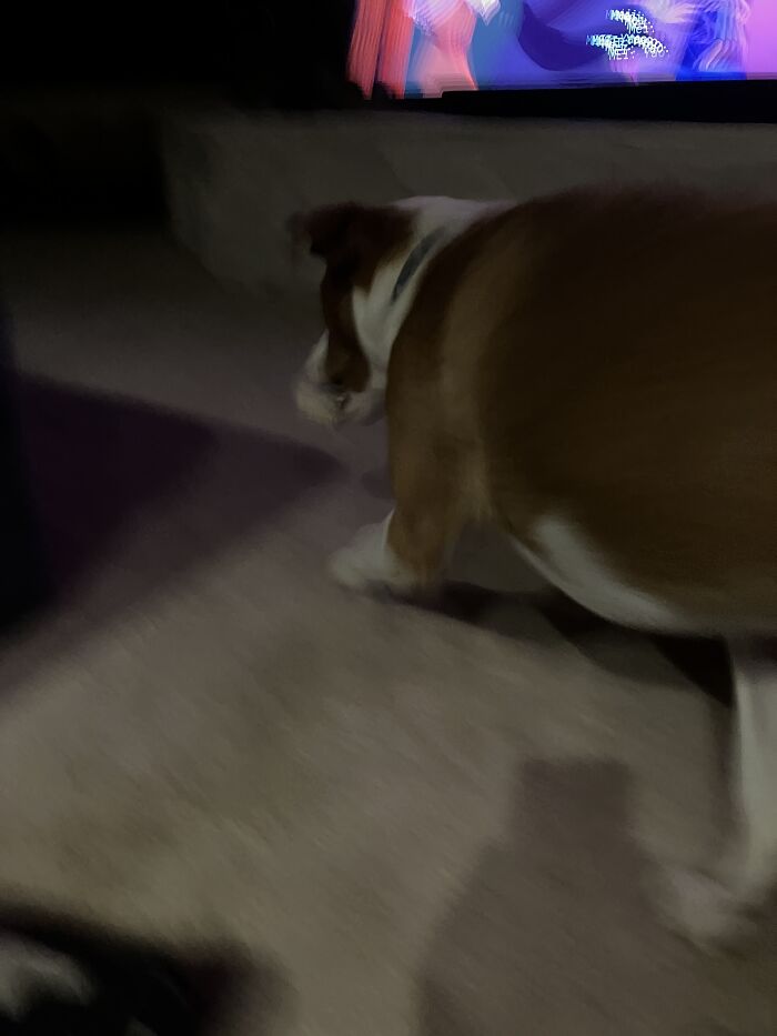 This Is Zero. He Is Not Really This Fat, It's Just A Really Bad Pic