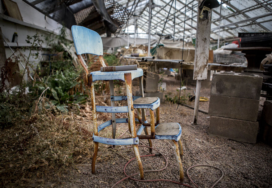 Reckless Abandon: The American West