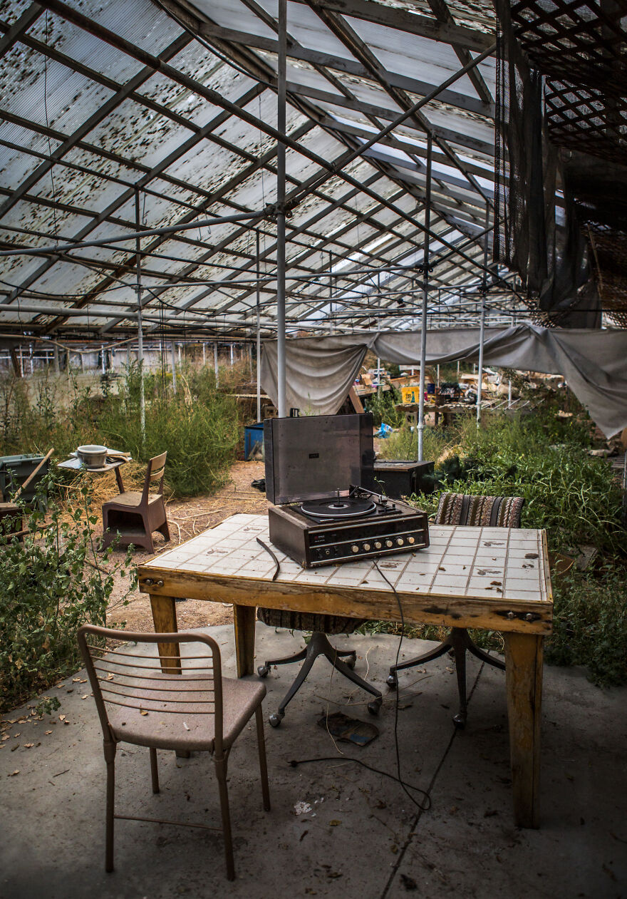 Reckless Abandon: The American West