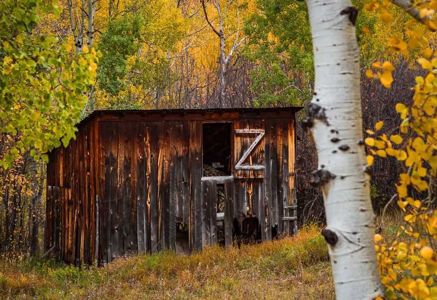 Reckless Abandon: The American West