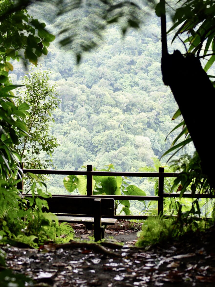 A Beautiful View Along The Trail At Emerald Pool