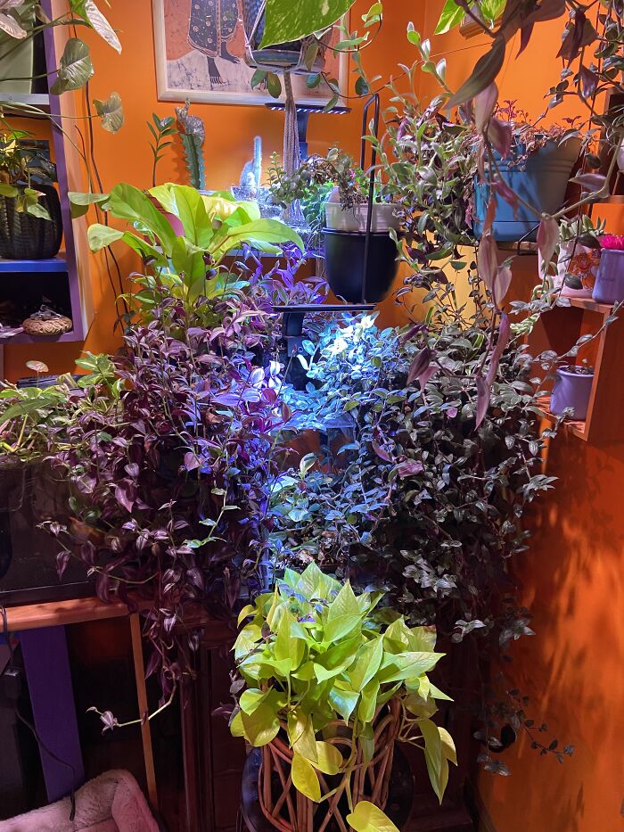 My Office Is A Mess…