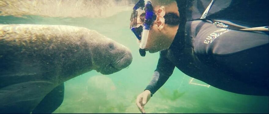 Underwater Videographer Gets Up Close With Apex Predators