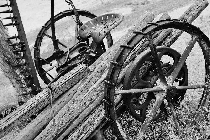 Reckless Abandon: The American West