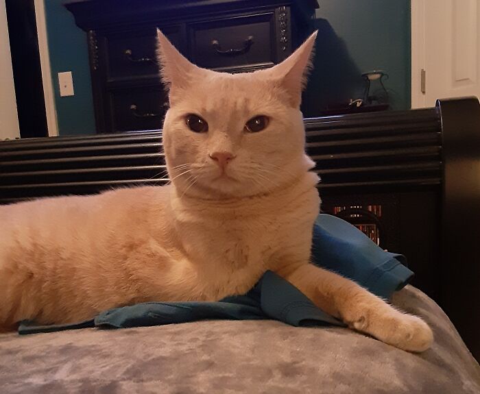 My Angel Straight From Heaven