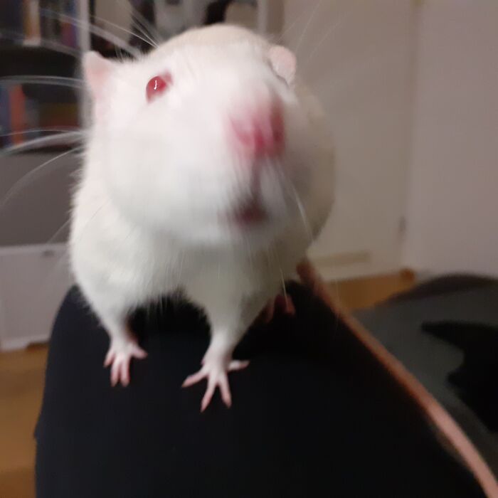 "Feeling Cute, Might Delete Later"