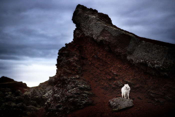 Red Stones Of Rauðhólar