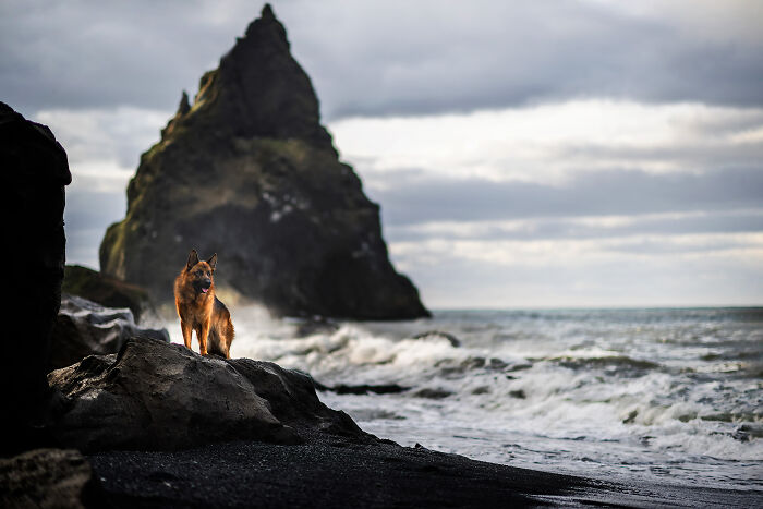 Big Waves At The Black Beach