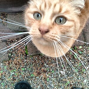 alainableakley avatar