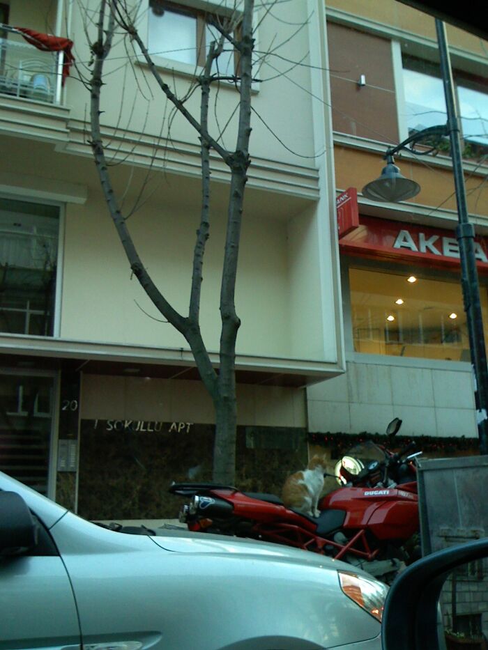 A Photo I Took 16 Years Ago