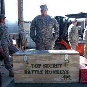 danielgilroy_1 avatar