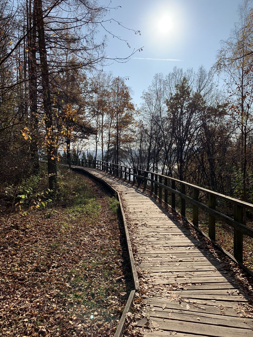 Long Walking On An Autumn Sunny Day, When Everything Around Is Already Brown, It's The Most Beautiful Time Of The Year For Me