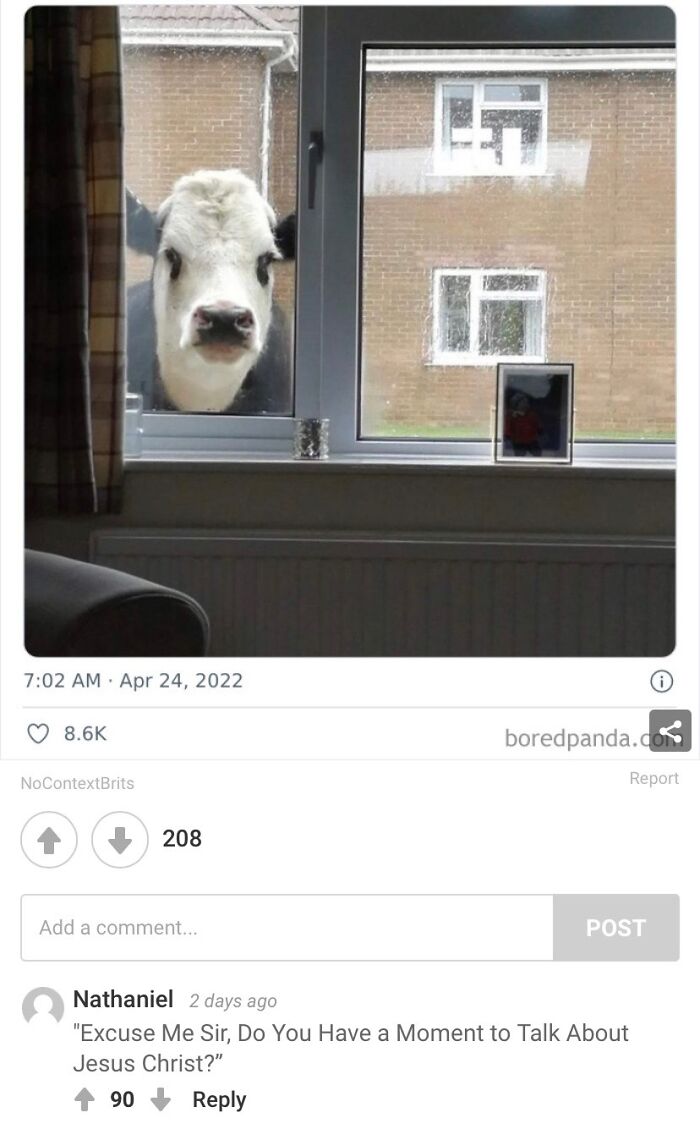 One Of My Favorite Screenshots On My Phone