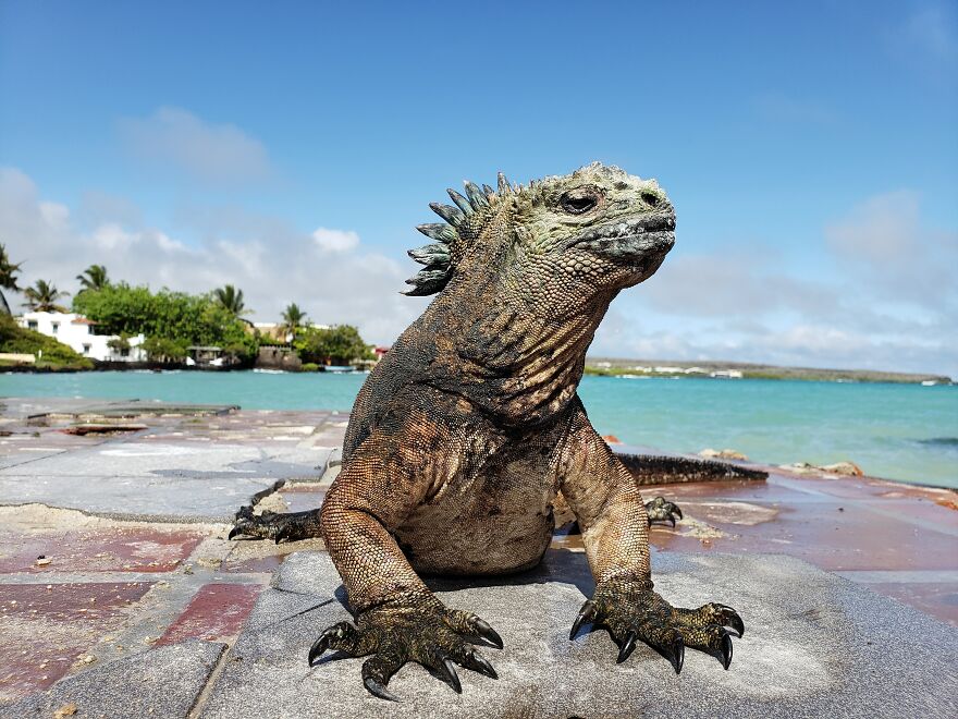 Underwater Videographer Gets Up Close With Apex Predators