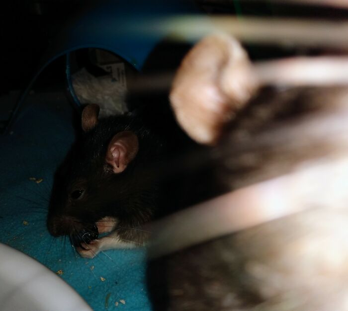 I Wanna Be In The Picture Too!