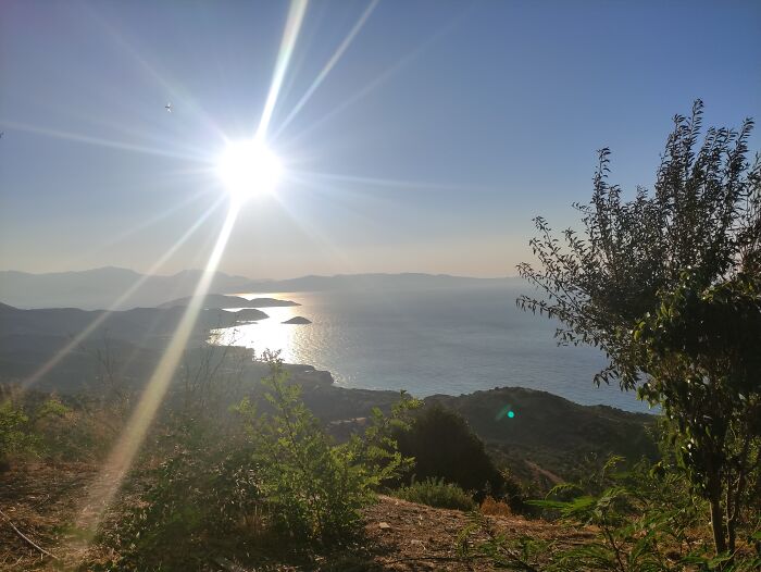 The Sun Will Always Shine