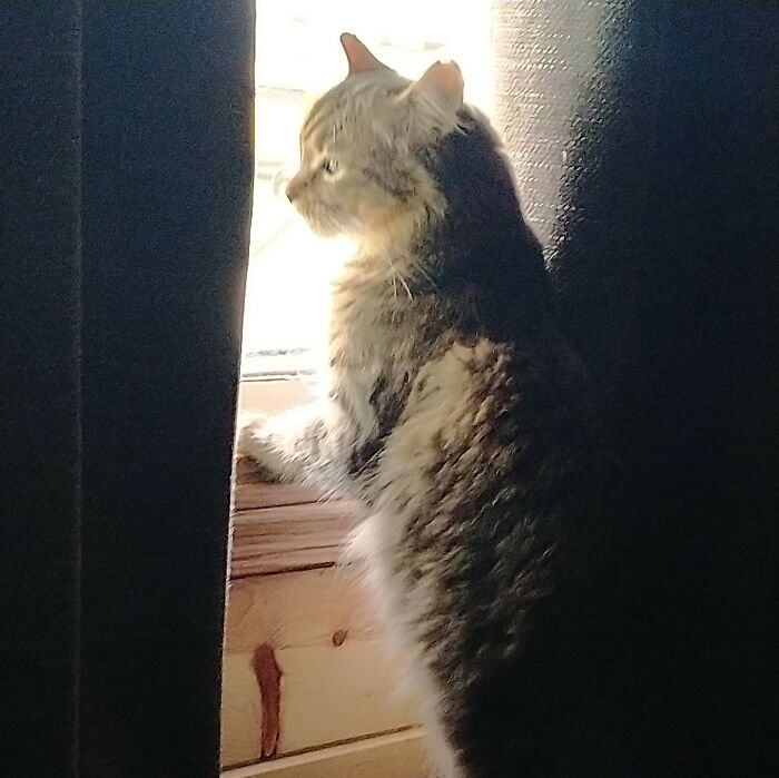 Eddy, Watching For Dad