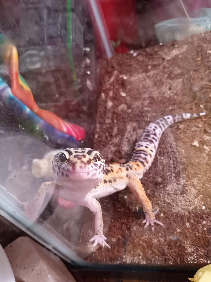 Eragon Wants You To Know That You Are Awesome