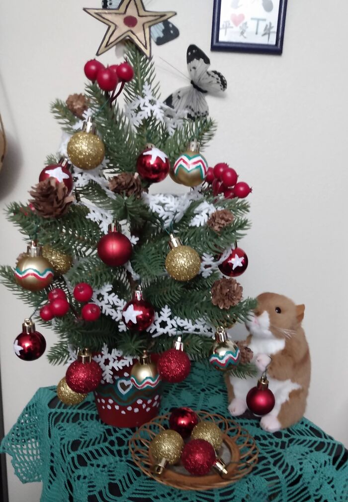 My Little Christmas Helper