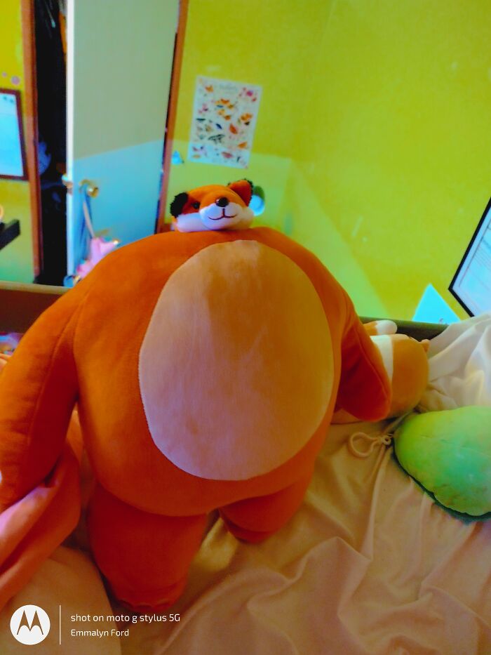 This Is My Fox, Spunky