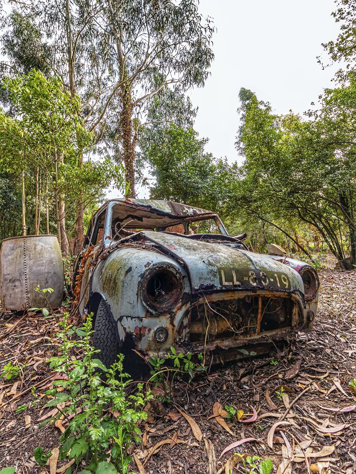 Rusty classic car abandoned in overgrown forest near an old factory, showcasing unexpected vintage vehicle finds.