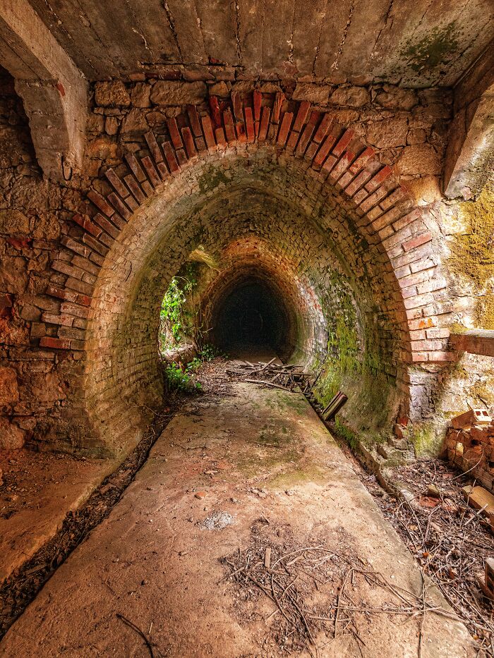 Abandoned factory tunnel with brick archway and moss, part of exploration revealing unexpected classic cars inside.
